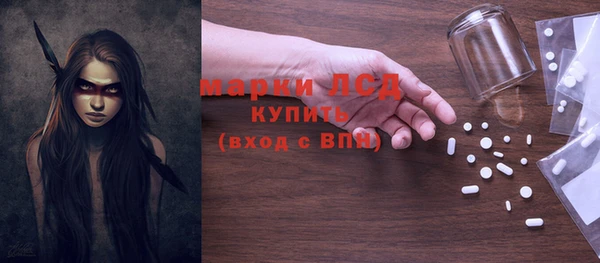 крисы Богородицк