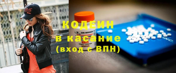 apvp Бородино